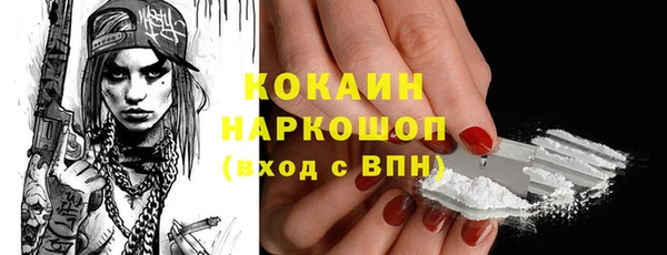 гашик Новодвинск