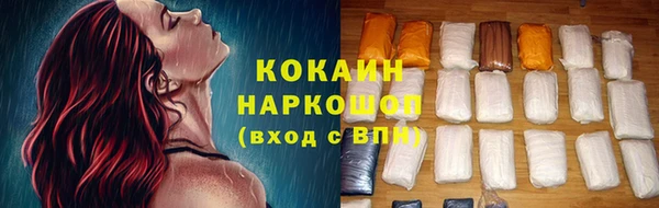 гашик Новодвинск