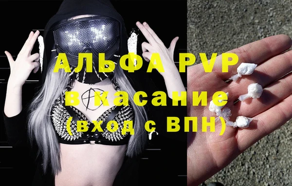 гашик Новодвинск