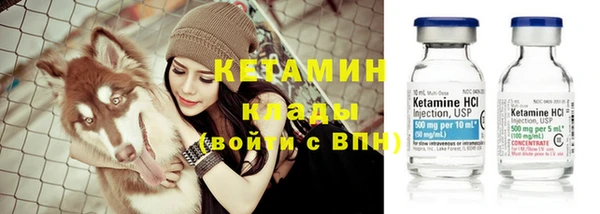 гашик Новодвинск