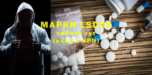 гашик Новодвинск