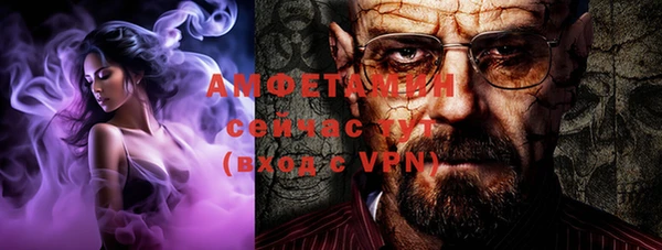 гашик Новодвинск
