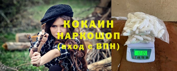 гашик Новодвинск
