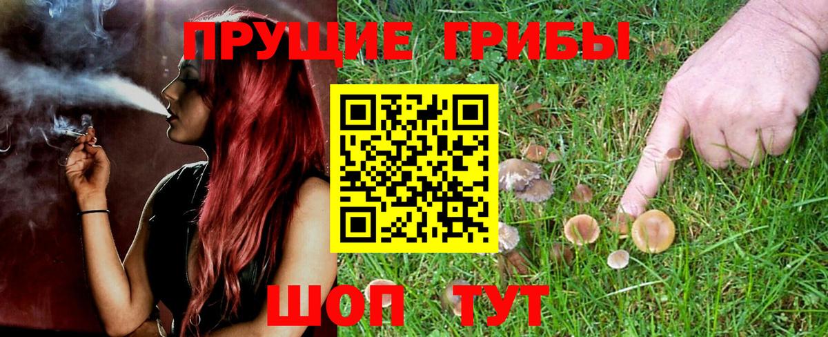 Кострома  Галлюциногенные грибы прущие грибы  Вход с VPN 